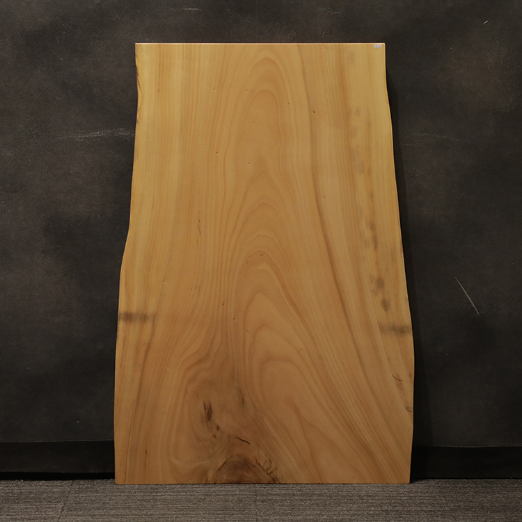 一枚板　クス / 楠　5441-30　(W120cm)