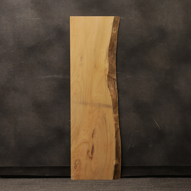 一枚板　クス / 楠　5441-31　(W150cm)