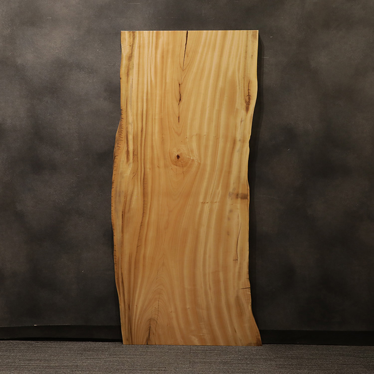 一枚板　クス / 楠　5441-7　(W200cm)