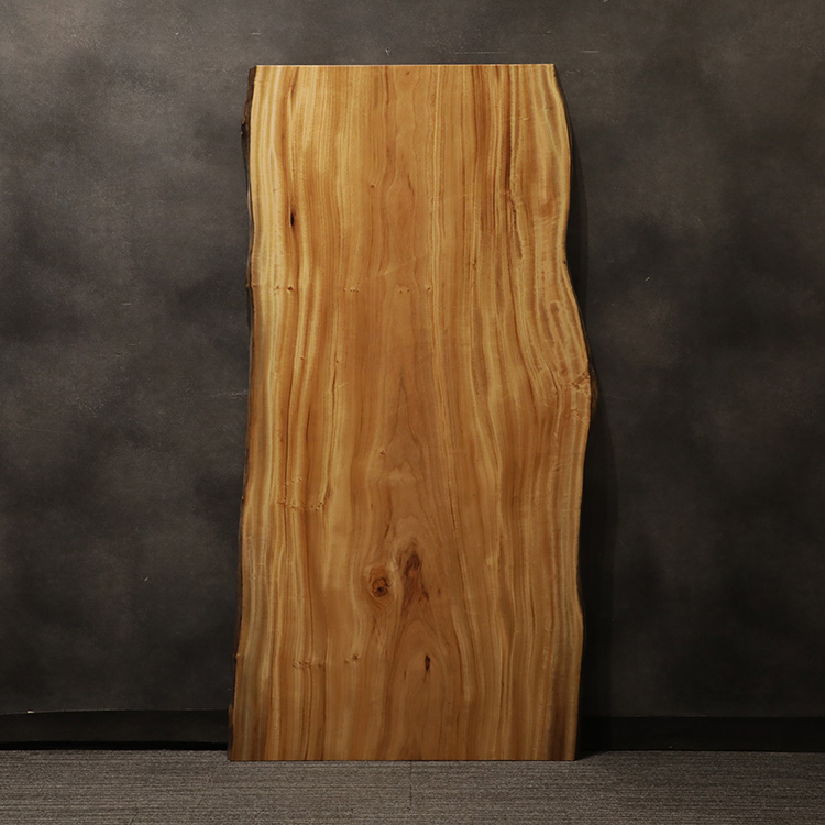 一枚板　クス / 楠　2981-5　(W180cm)