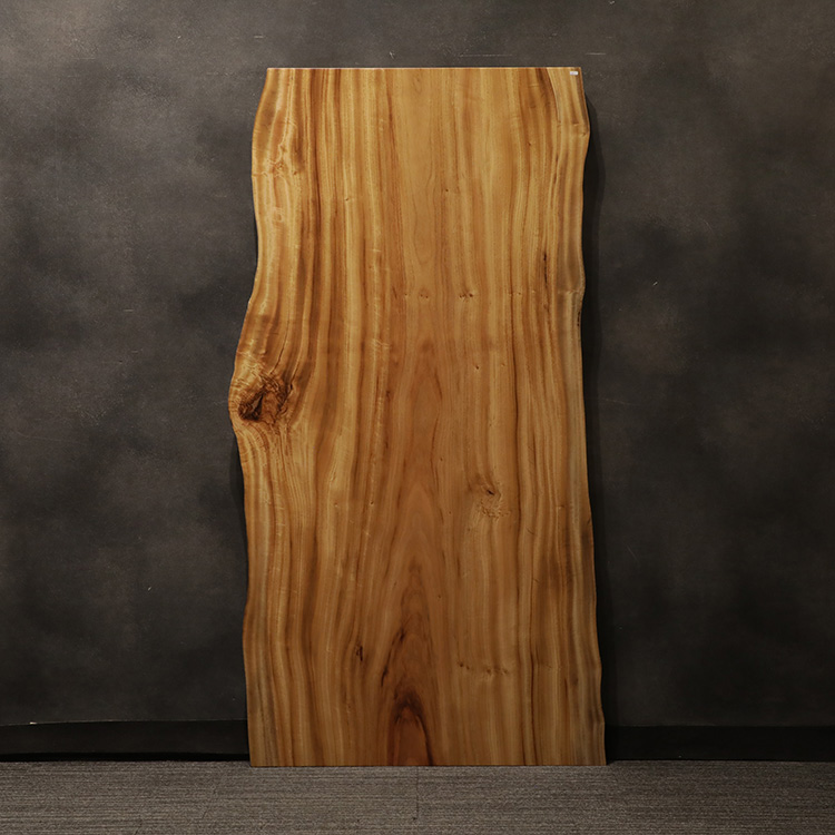 一枚板　クス / 楠　2981-5　(W180cm)