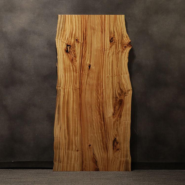 一枚板　クス / 楠　2981-8　(W200cm)