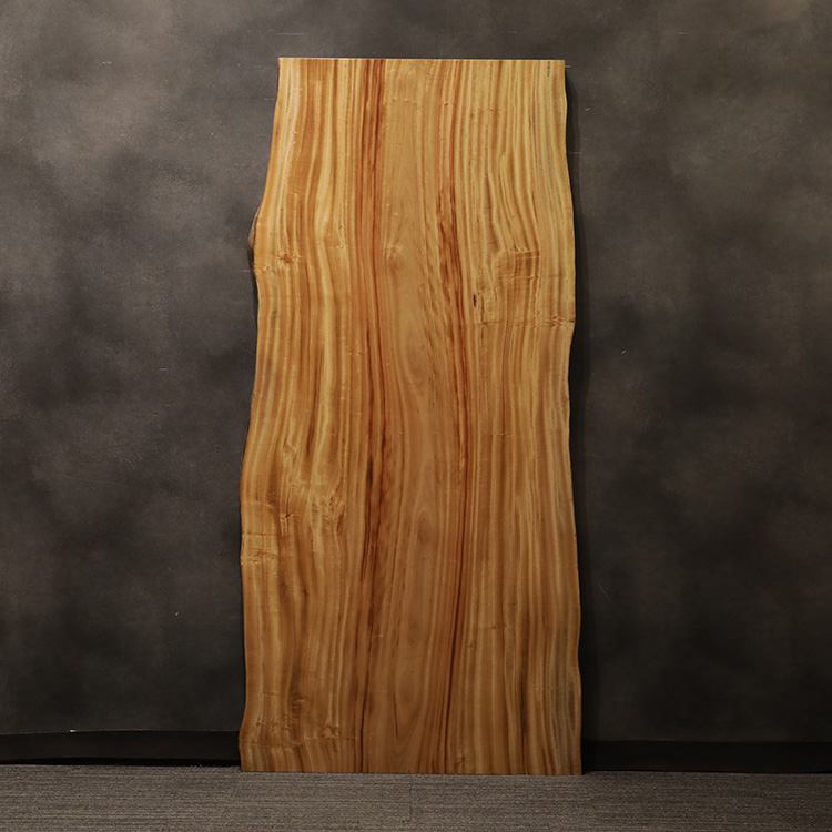 一枚板　クス / 楠　2981-9　(W210cm)