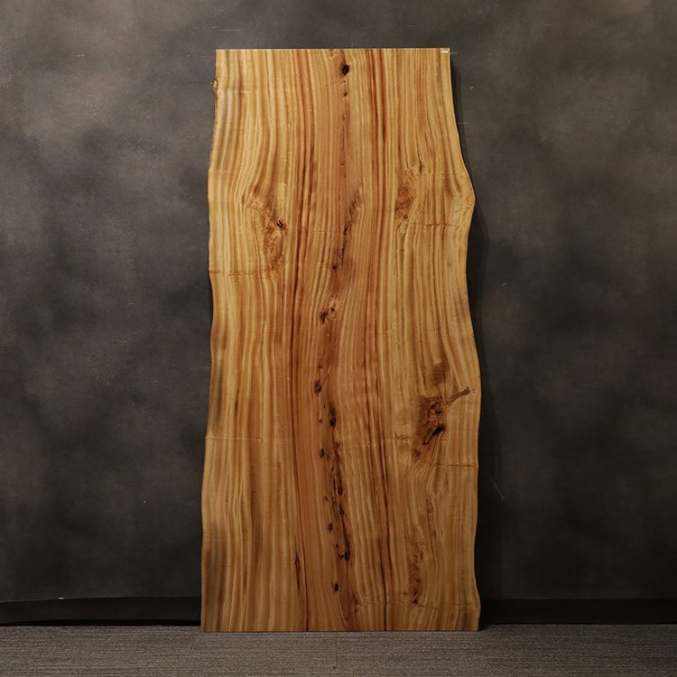 一枚板　クス / 楠　2981-9　(W210cm)