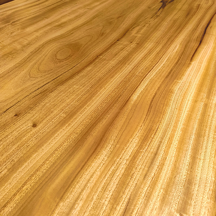 一枚板　クス / 楠　2981-11　(W180cm)