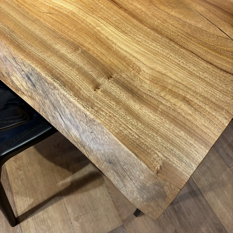 一枚板　クス / 楠　2981-13　(W130cm)