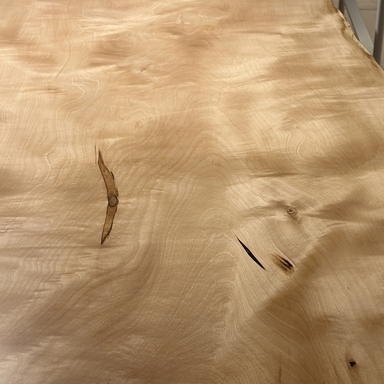 一枚板　トチ / 栃(杢)　K-GM-2202-1519　(W240cm)