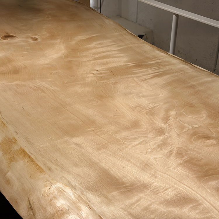 一枚板　トチ / 栃(杢)　K-GM-2202-1519　(W240cm)