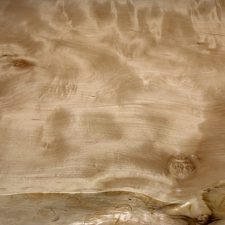 一枚板　トチ / 栃(杢)　K-GM-2202-1519　(W240cm)