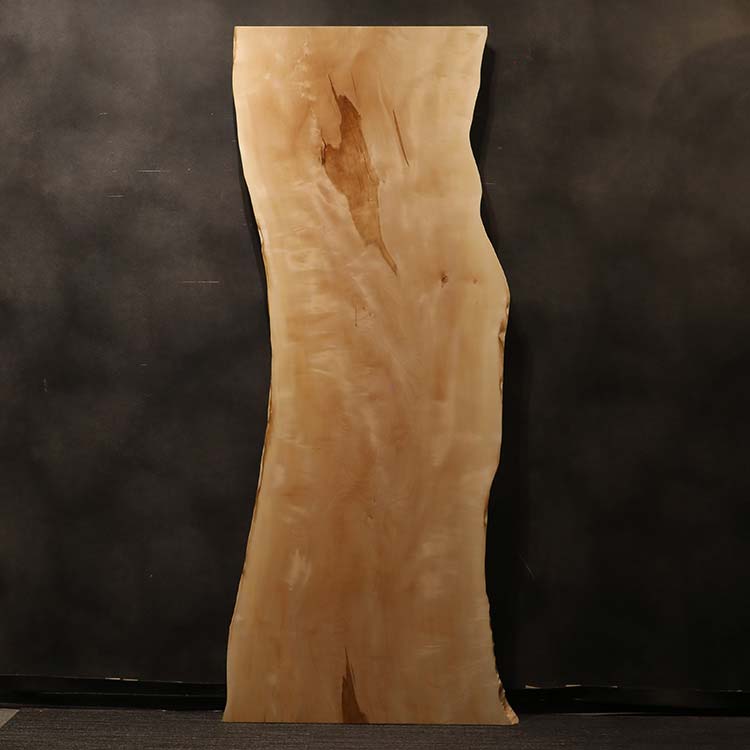 一枚板　トチ / 栃(杢)　K-GM-2202-1519　(W240cm)