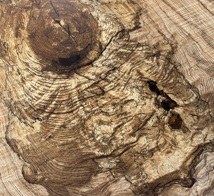 一枚板　タモ / 櫤(杢)　743-2　(W150cm)