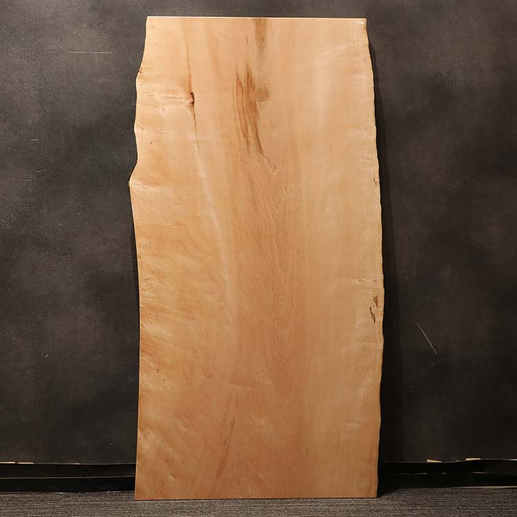 一枚板 カエデ / 楓 785-3 (W160cm)