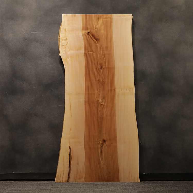 一枚板　トチ / 栃　1163-8　(W210cm)