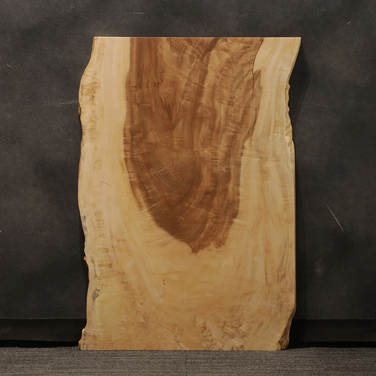 一枚板　トチ / 栃　32-1　(W120cm)