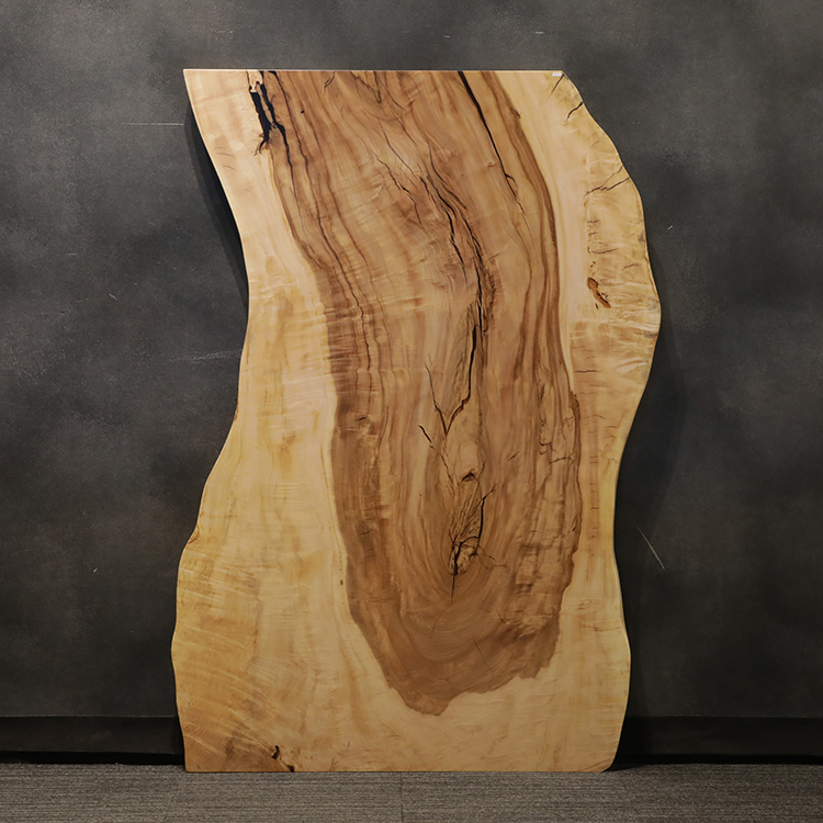 一枚板　トチ / 栃(杢)　32-3　(W160cm)