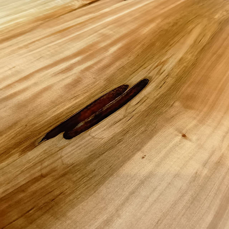 一枚板　トチ / 栃　67-4　(W150cm)