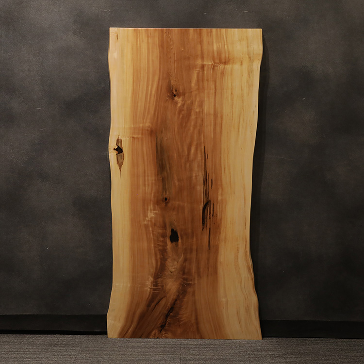一枚板　トチ / 栃　67-5　(W160cm)