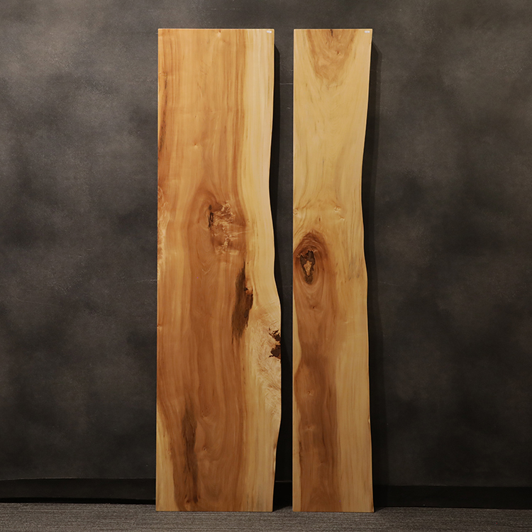 一枚板　トチ / 栃　67-13+19　(W200cm)