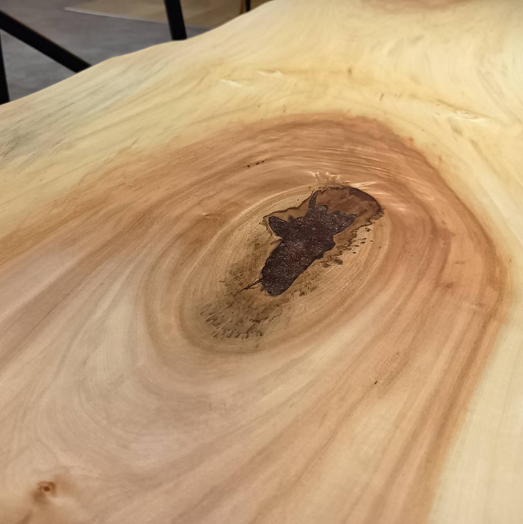 一枚板　トチ / 栃　67-18　(W170cm)