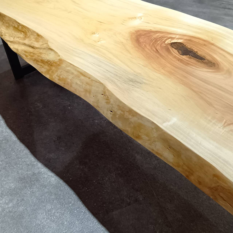 一枚板　トチ / 栃　67-18　(W170cm)