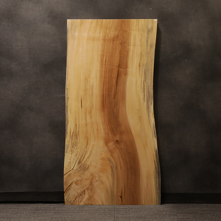 一枚板　トチ / 栃　649-5　(W160cm)