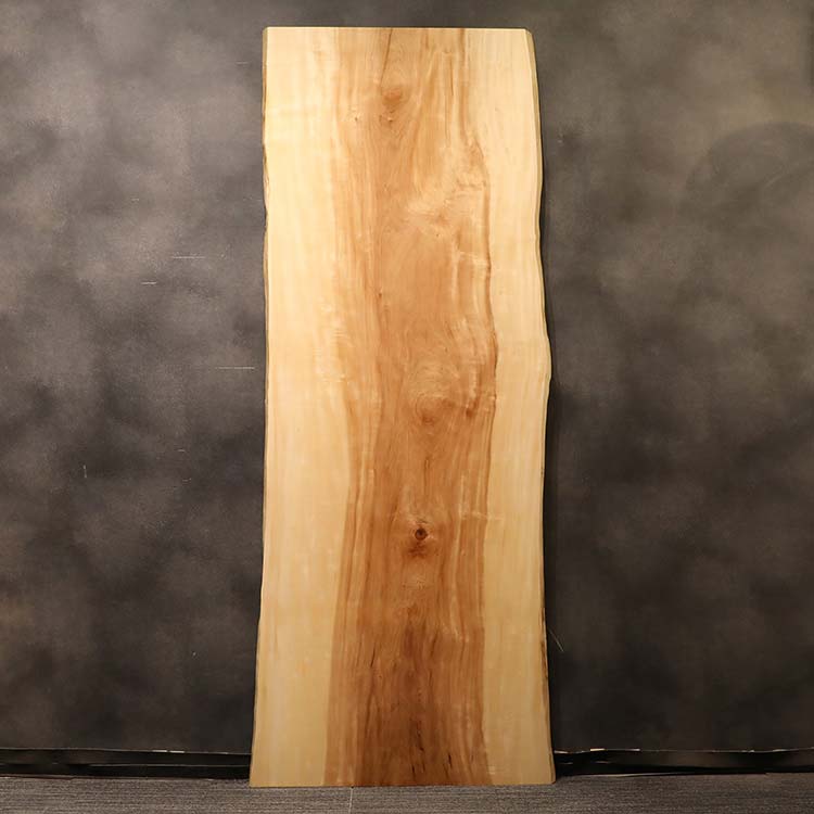 一枚板　トチ / 栃　1170-5　(W270cm)