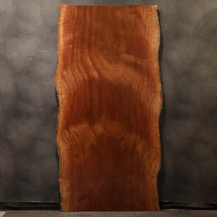一枚板　サペリ(杢)　388-2/2-5-1　(W240cm)