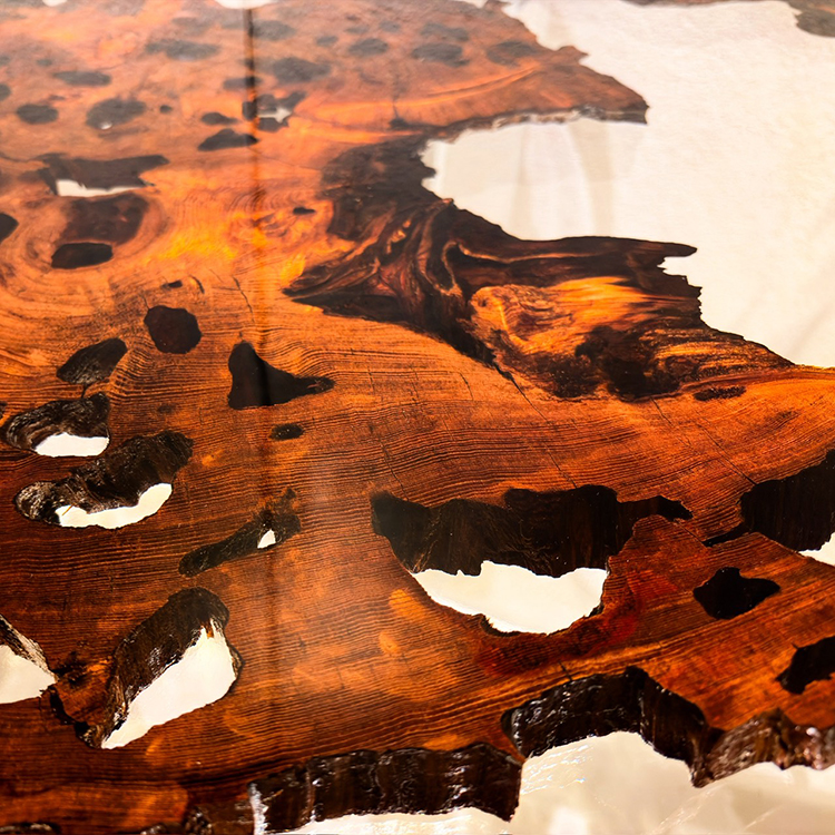 RESIN　ヤクスギ / 屋久杉　輪切り-HZ-241129　(W114cm)