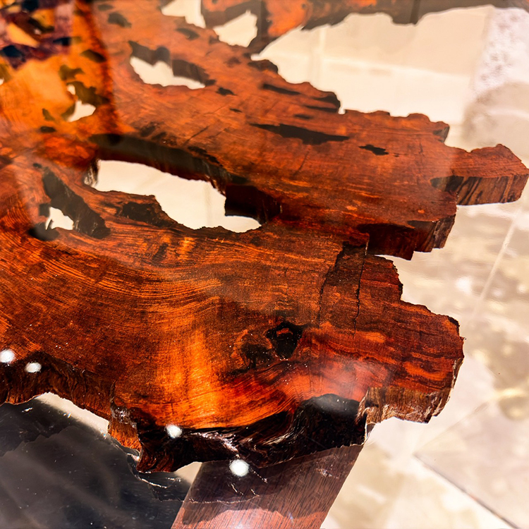 RESIN　ヤクスギ / 屋久杉　輪切り-HZ-241129　(W114cm)