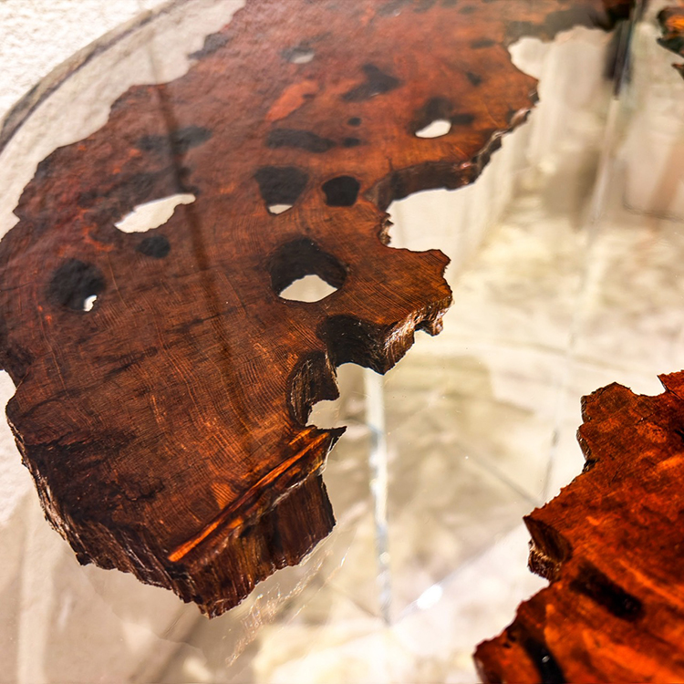 RESIN　ヤクスギ / 屋久杉　輪切り-HZ-241129　(W114cm)