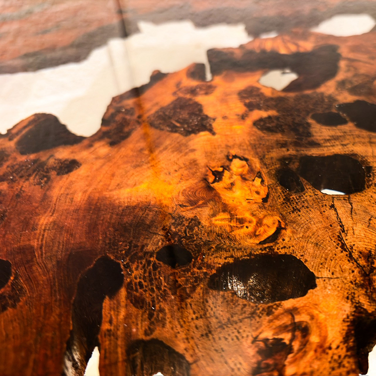 RESIN　ヤクスギ / 屋久杉　輪切り-HZ-241129　(W114cm)