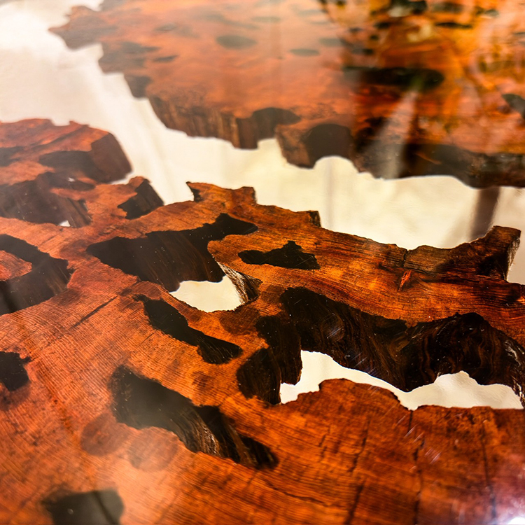 RESIN　ヤクスギ / 屋久杉　輪切り-HZ-241129　(W114cm)