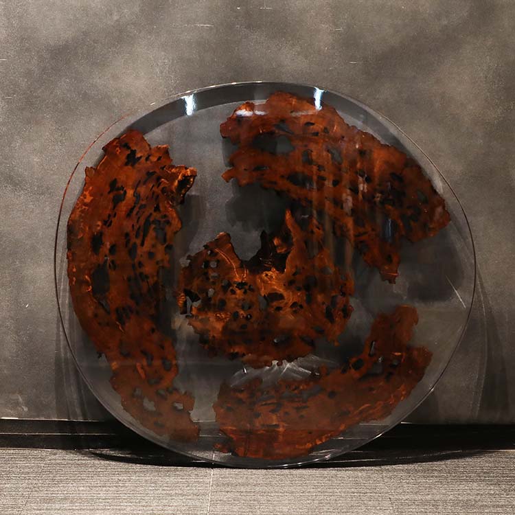 RESIN　ヤクスギ / 屋久杉　輪切り-HZ-241129　(W114cm)