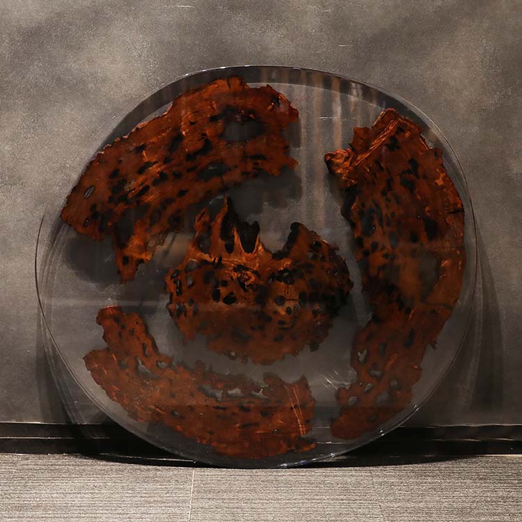 RESIN　ヤクスギ / 屋久杉　輪切り-HZ-241129　(W114cm)