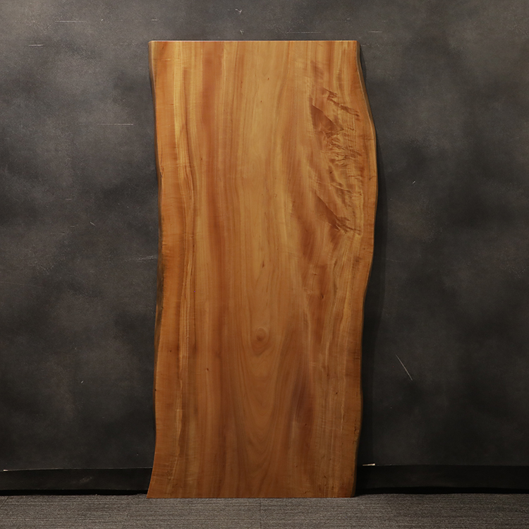 一枚板　タブ / 椨　3169-5　(W180cm)