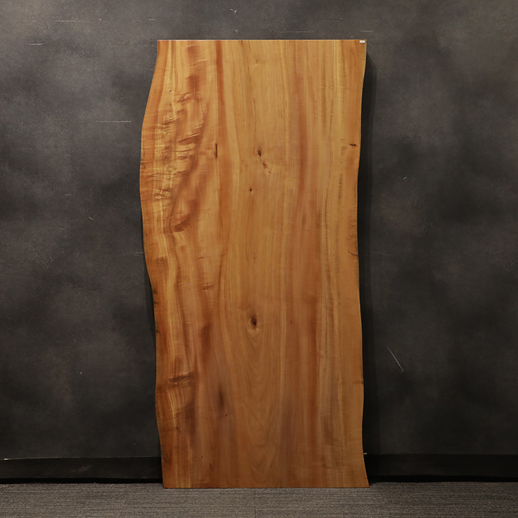 一枚板　タブ / 椨　3169-5　(W180cm)
