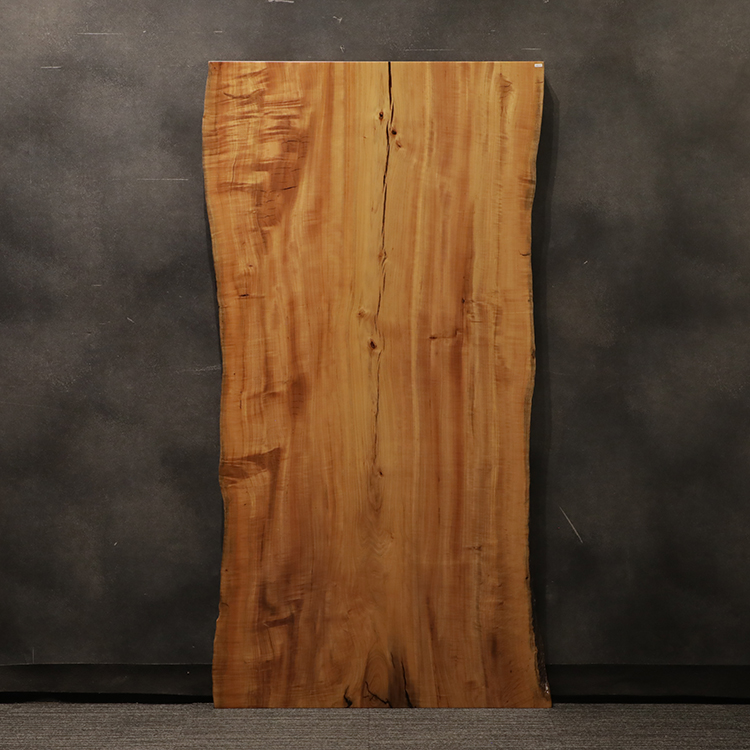 一枚板　タブ / 椨　3169-6　(W180cm)