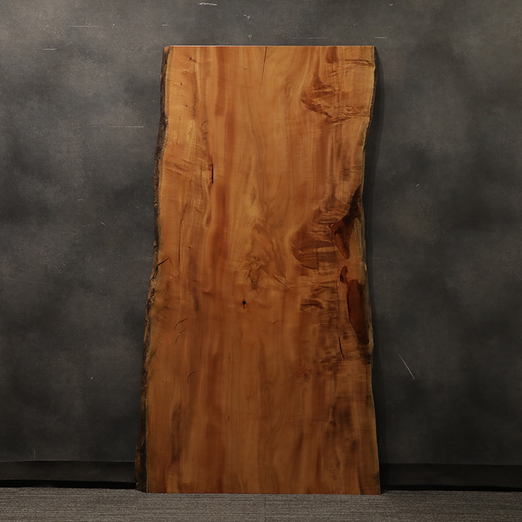一枚板　タブ / 椨　3169-8　(W180cm)