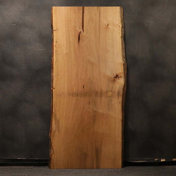 一枚板　マンゴ　T950-48　(W200cm)