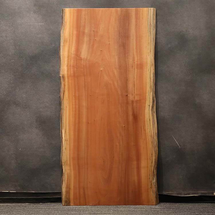 一枚板　タブ / 椨　55-4-1　(W160cm)