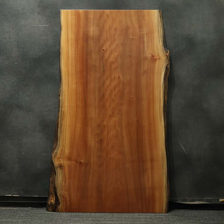 一枚板　タブ / 椨(杢)　55-8-1　(W160cm)
