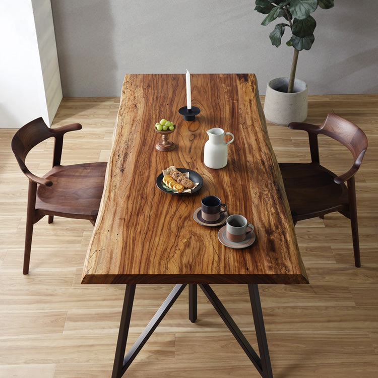 ササエノ　ダイニングチェア