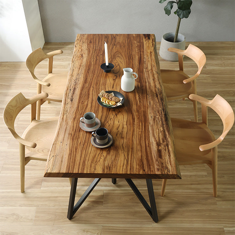 ササエノ　ダイニングチェア