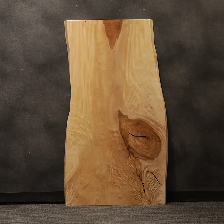 一枚板　トチ / 栃　532-5-2　(W160cm)