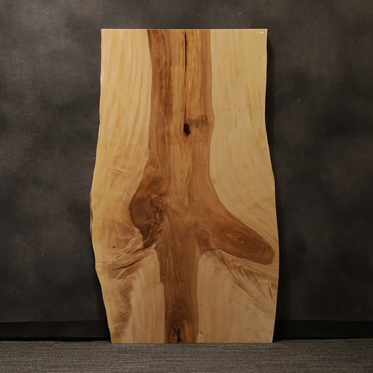 一枚板　トチ / 栃(杢)　532-7-2　(W160cm)