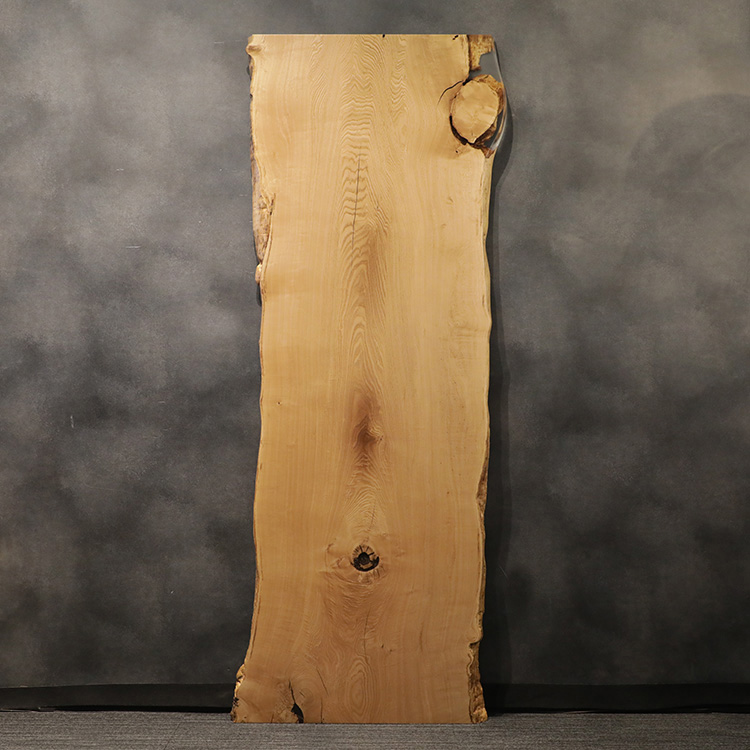 一枚板　クリ / 栗　1453　(W260cm)