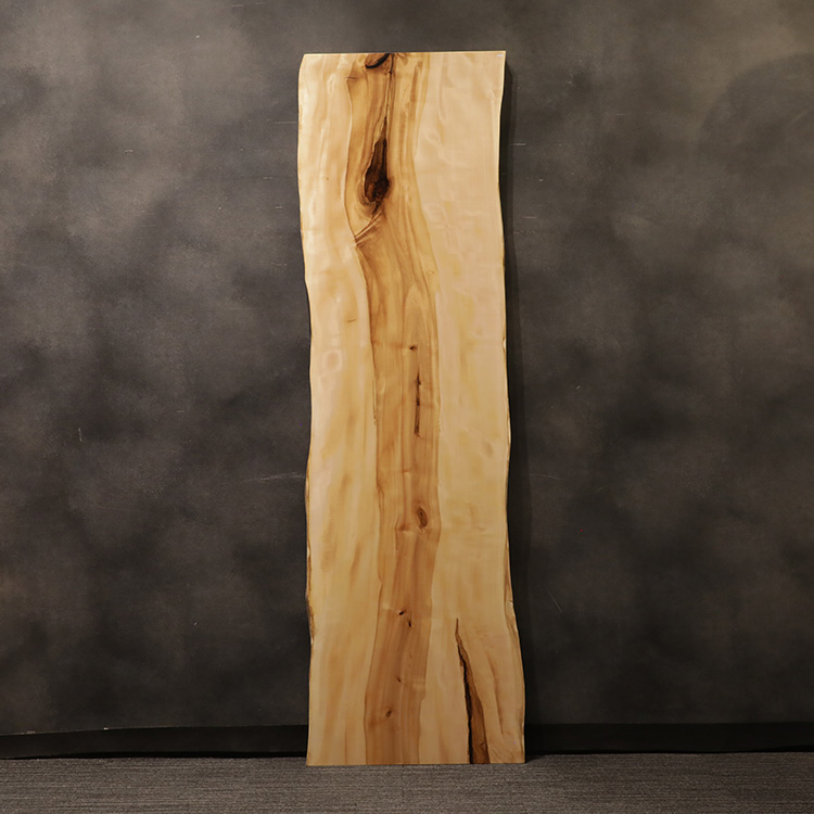 一枚板　トチ / 栃　K-GM-2204-1566-1　(W240cm)