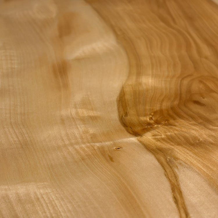 一枚板　トチ / 栃　K-GM-2204-1566-1　(W240cm)