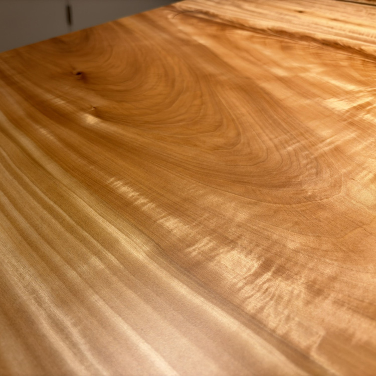 一枚板　トチ / 栃(杢)　K-HN-2205-951　(W220cm)