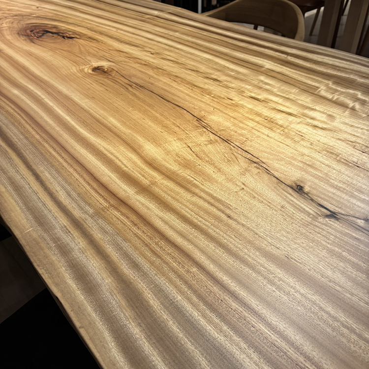 一枚板　クス / 楠　6102-7　(W260cm)